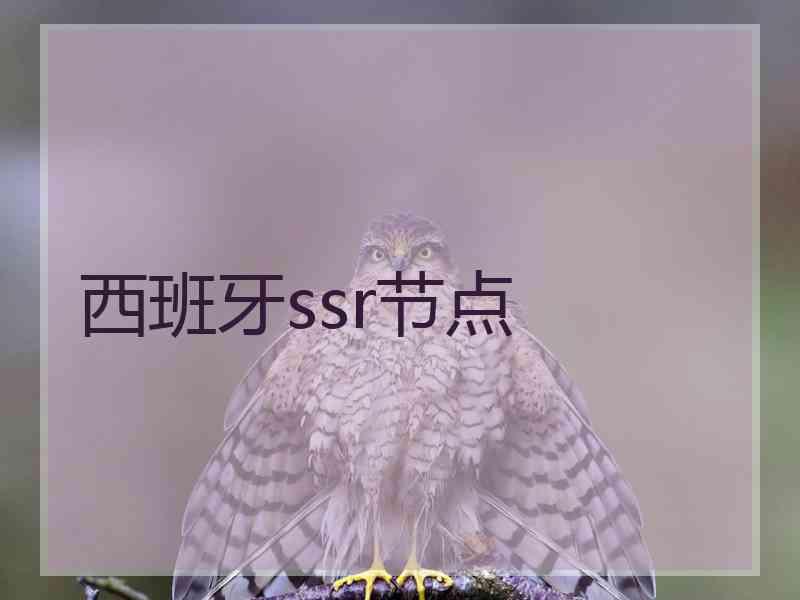 西班牙ssr节点