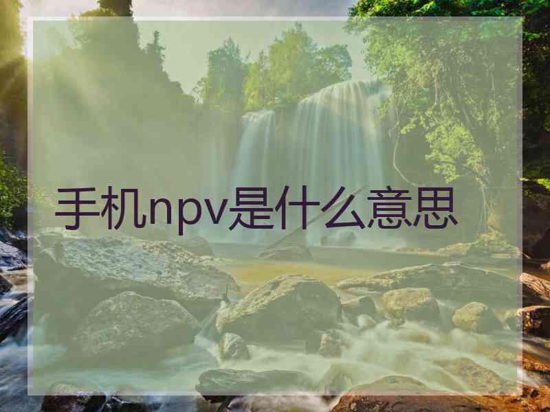 手机npv是什么意思