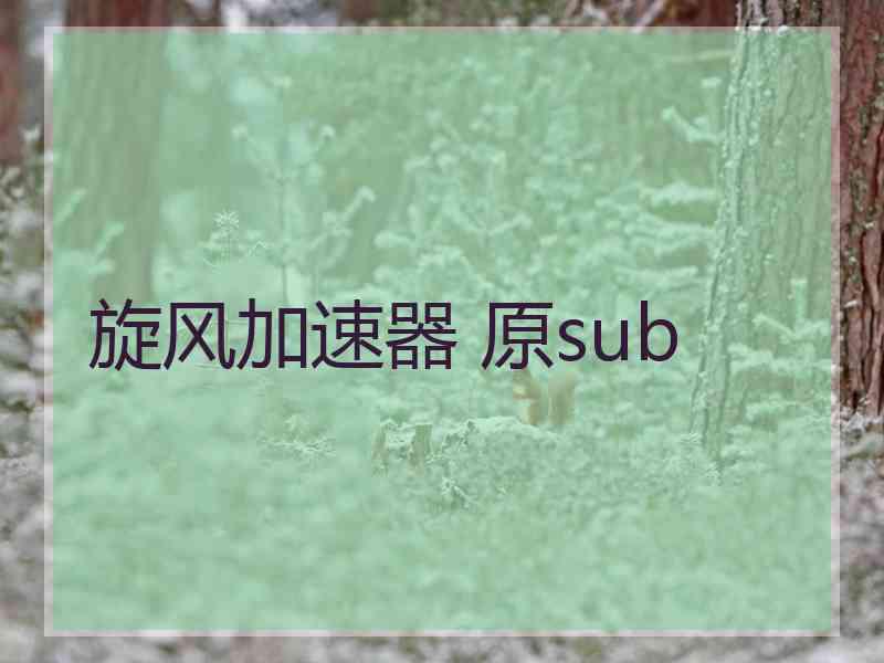 旋风加速器 原sub