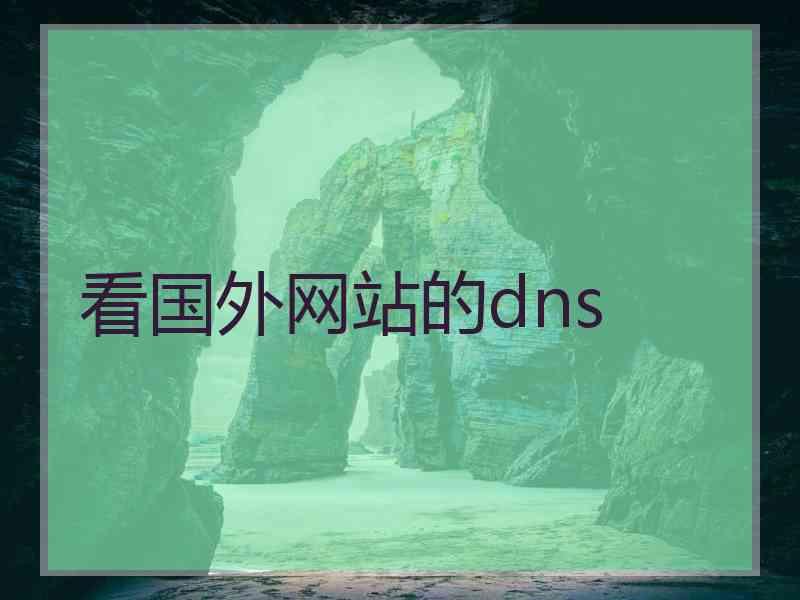看国外网站的dns