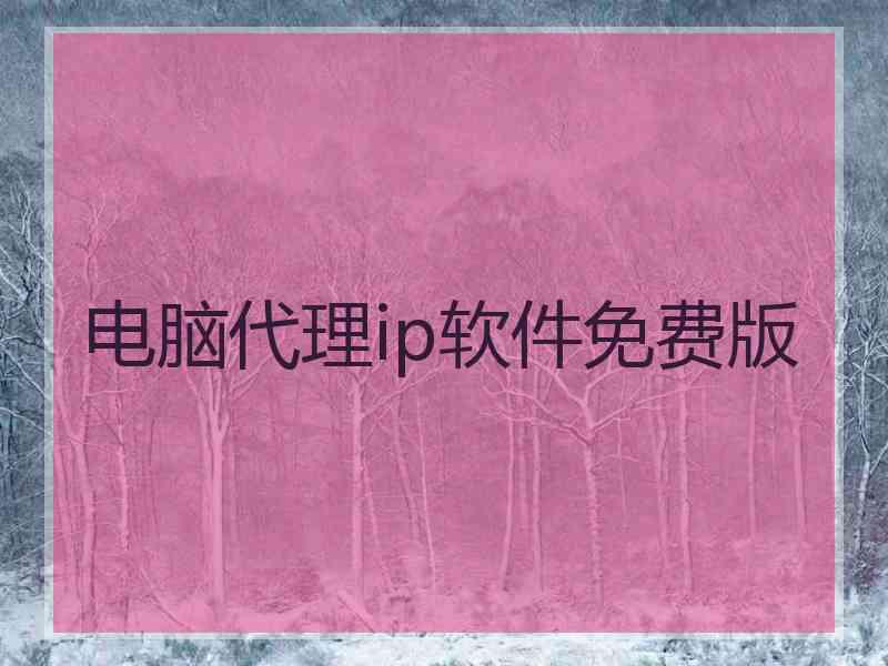 电脑代理ip软件免费版