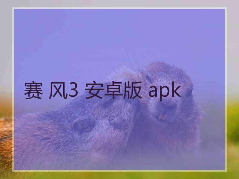 赛 风3 安卓版 apk