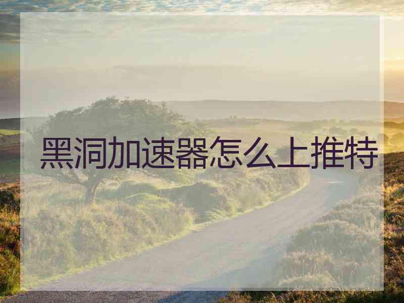 黑洞加速器怎么上推特