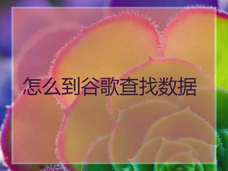怎么到谷歌查找数据