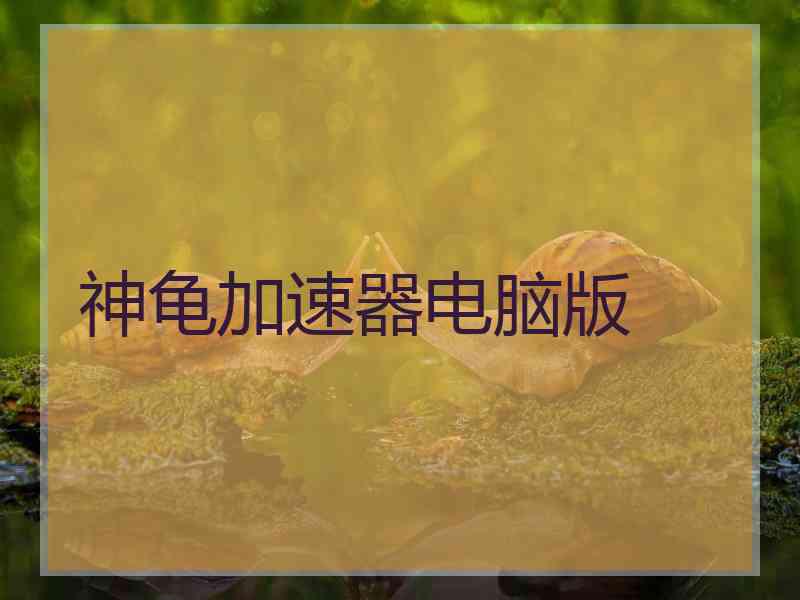 神龟加速器电脑版