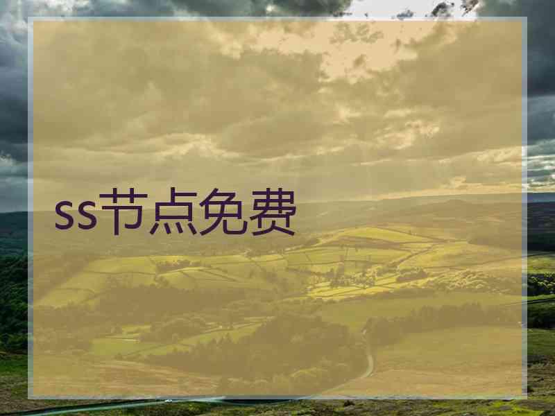 ss节点免费