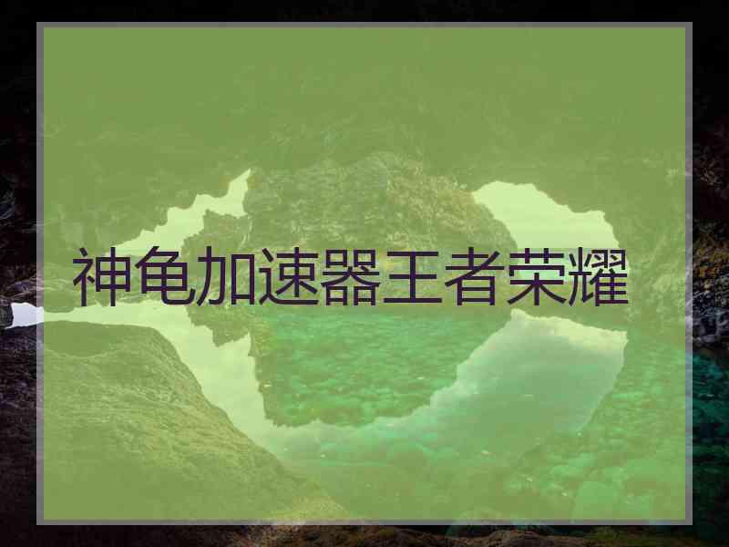 神龟加速器王者荣耀