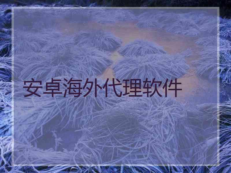 安卓海外代理软件