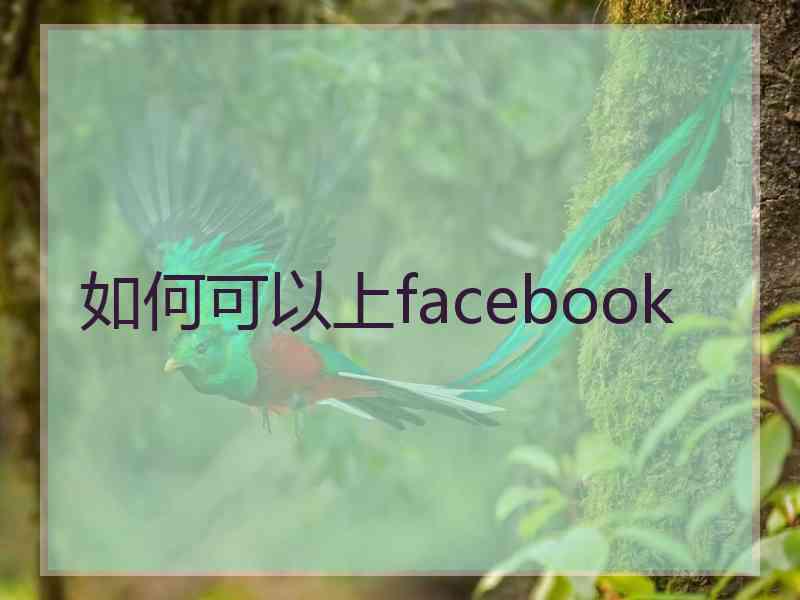 如何可以上facebook