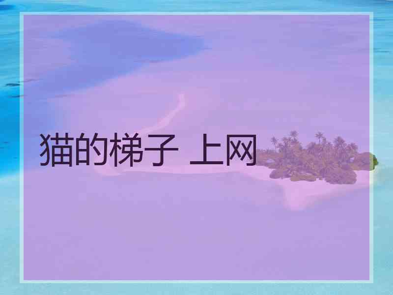 猫的梯子 上网