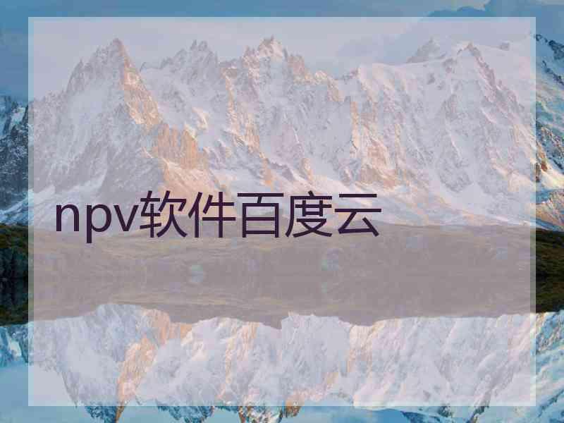 npv软件百度云