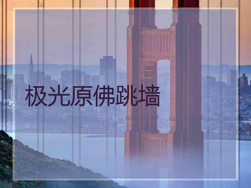 极光原佛跳墙