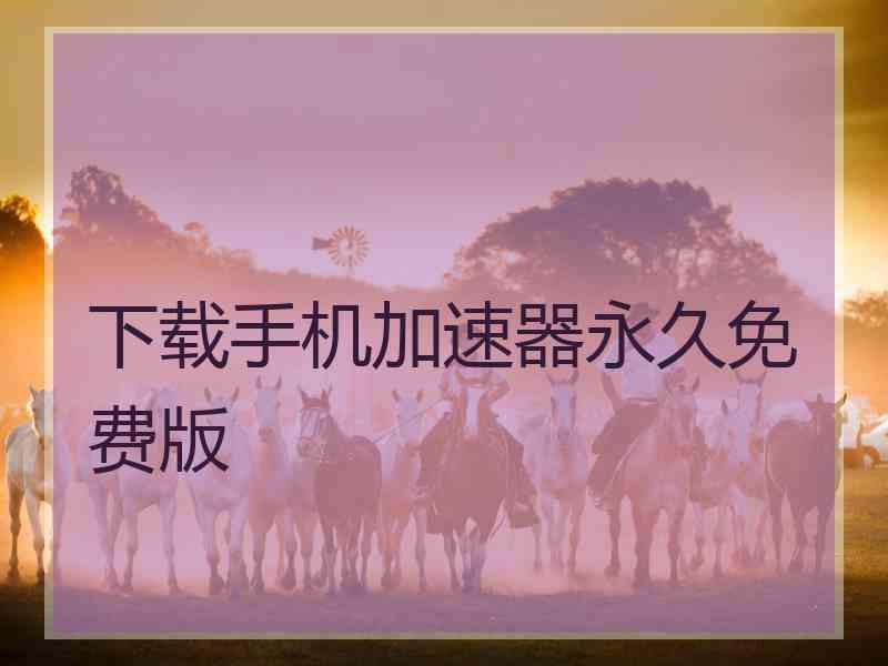 下载手机加速器永久免费版