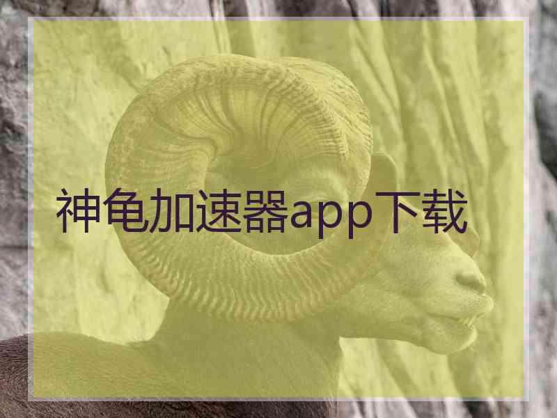 神龟加速器app下载