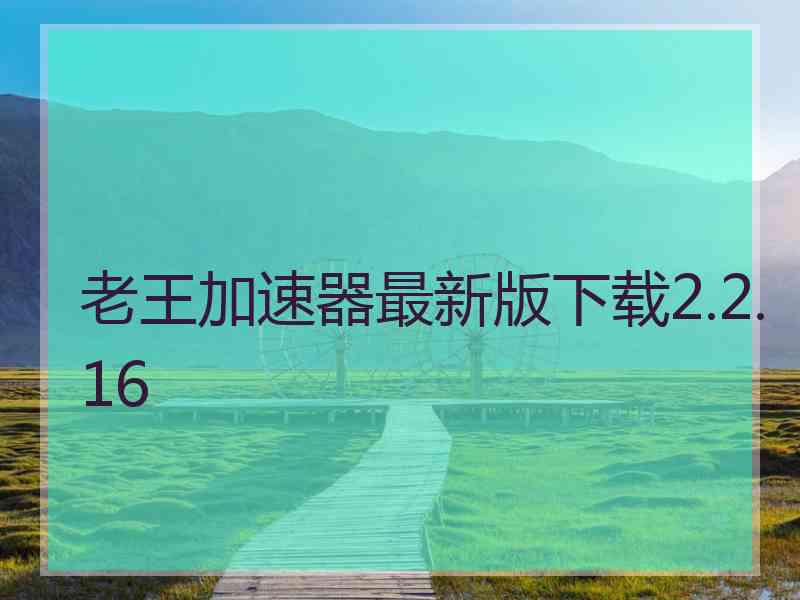 老王加速器最新版下载2.2.16