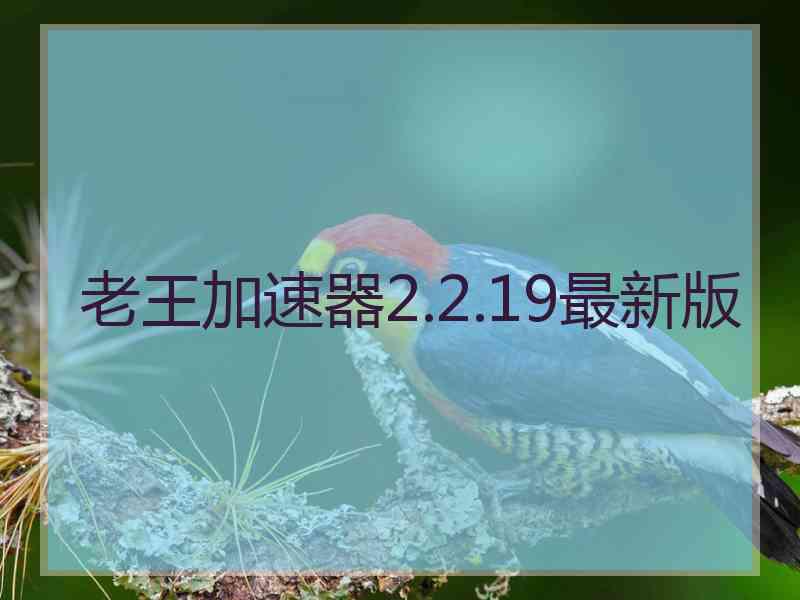 老王加速器2.2.19最新版