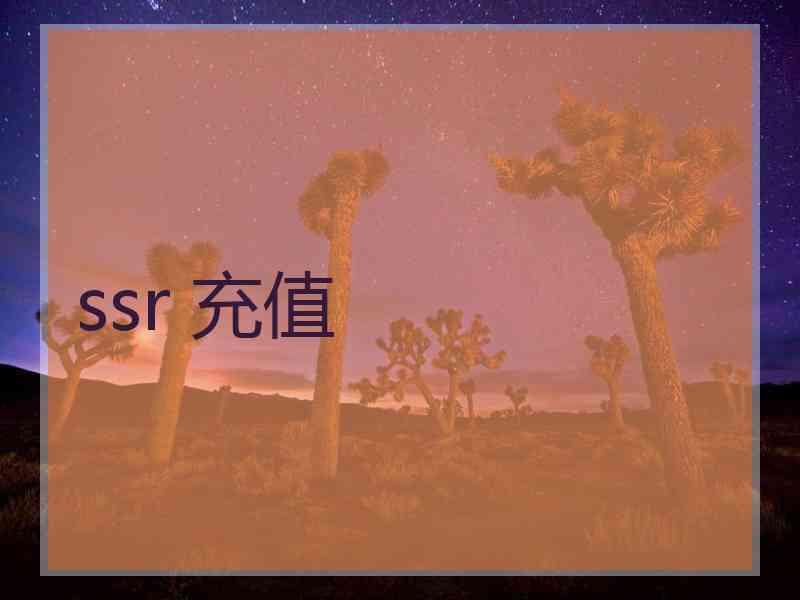ssr 充值