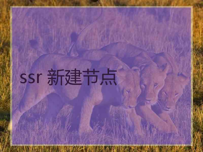 ssr 新建节点
