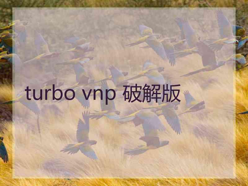 turbo vnp 破解版