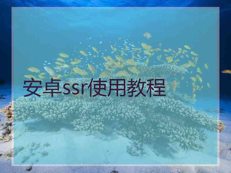 安卓ssr使用教程