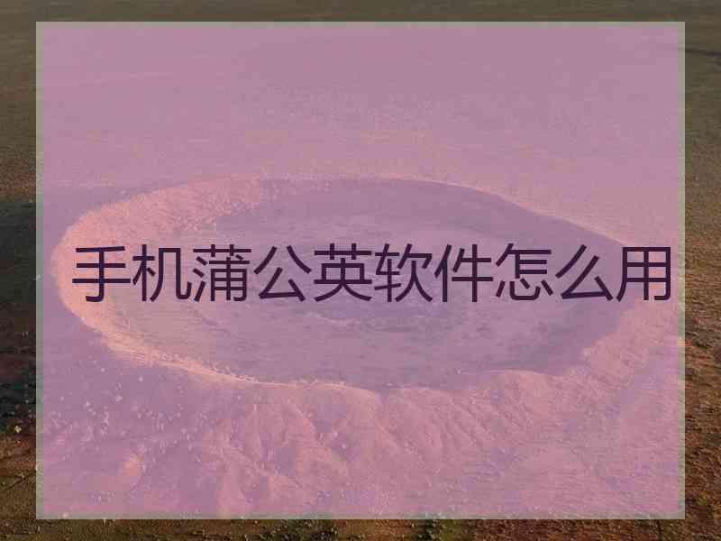 手机蒲公英软件怎么用
