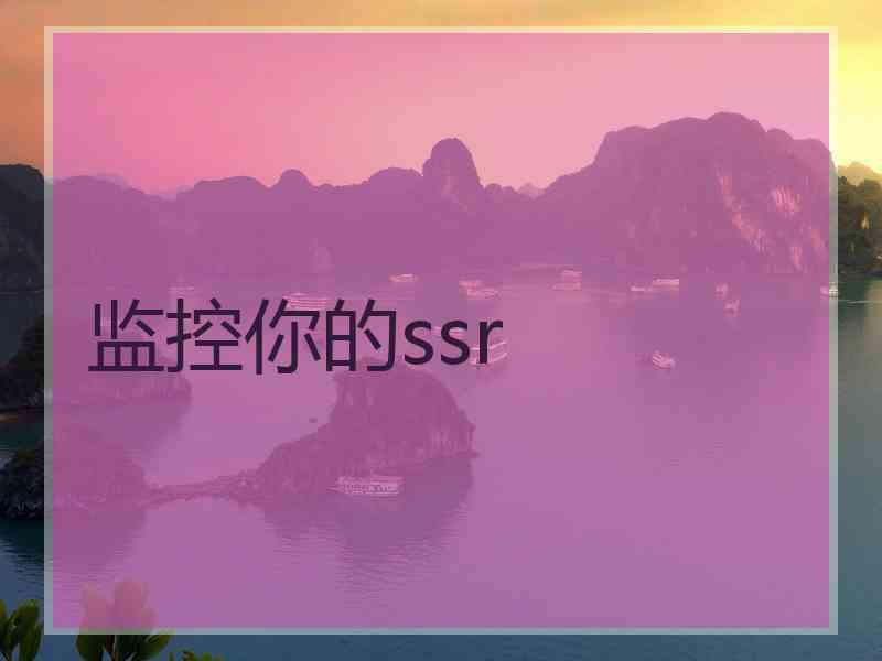 监控你的ssr