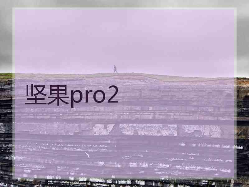 坚果pro2