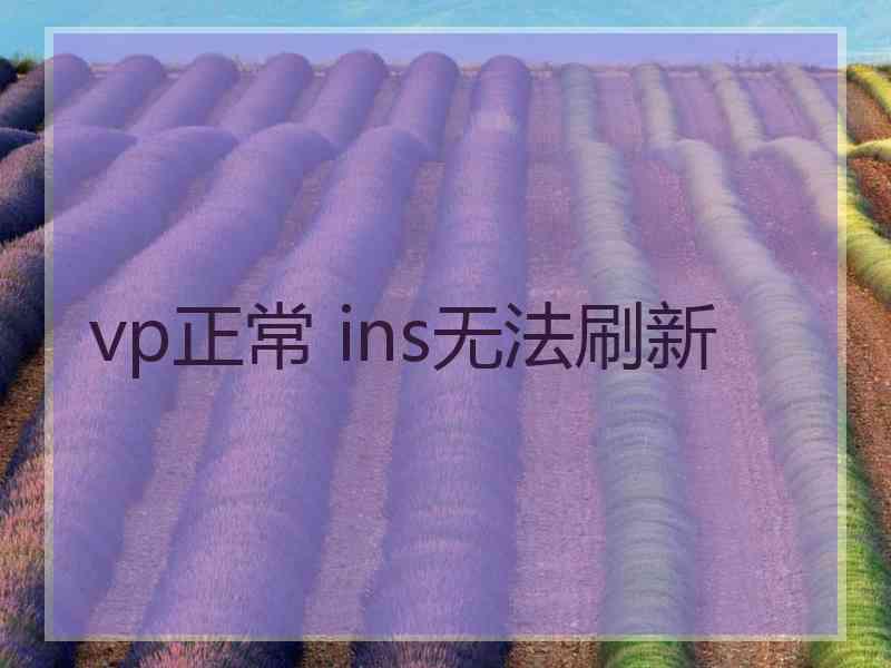 vp正常 ins无法刷新