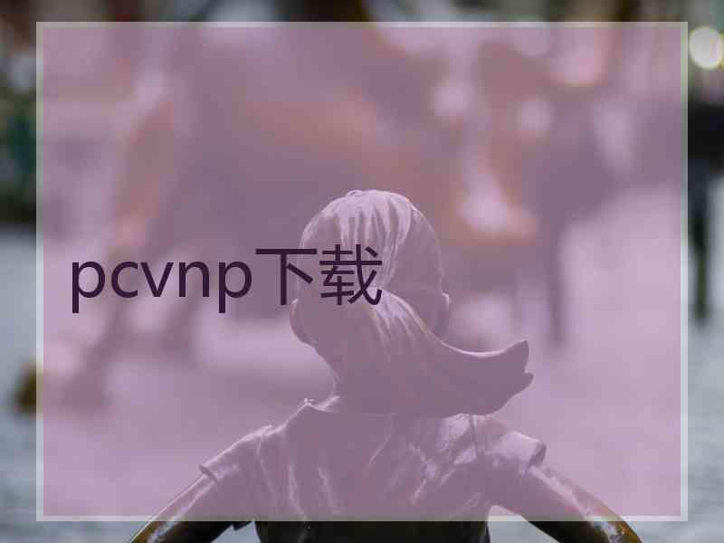 pcvnp下载