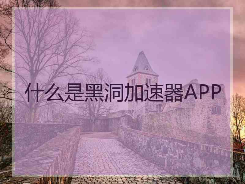 什么是黑洞加速器APP