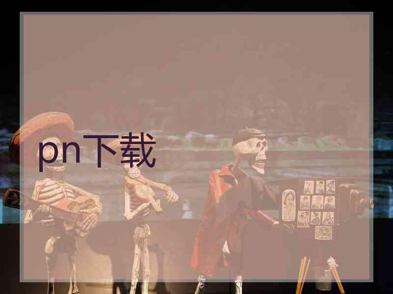 pn下载