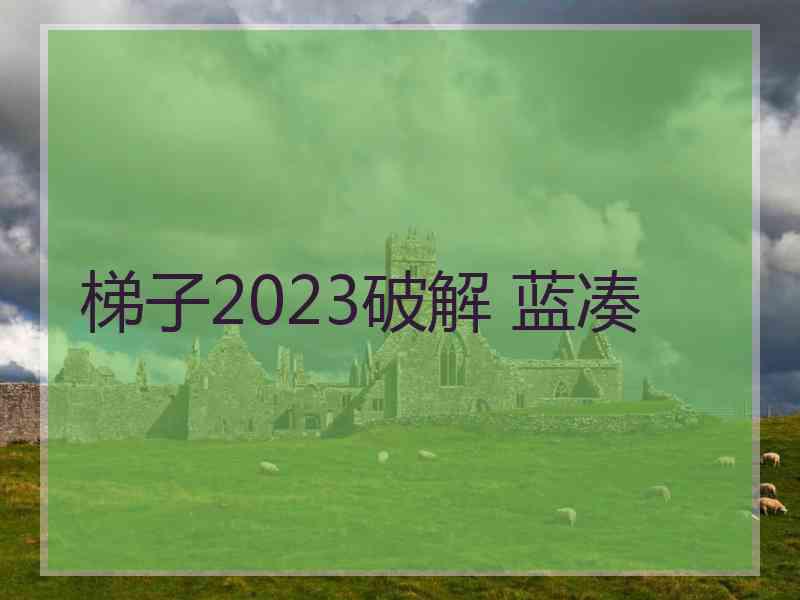 梯子2023破解 蓝凑