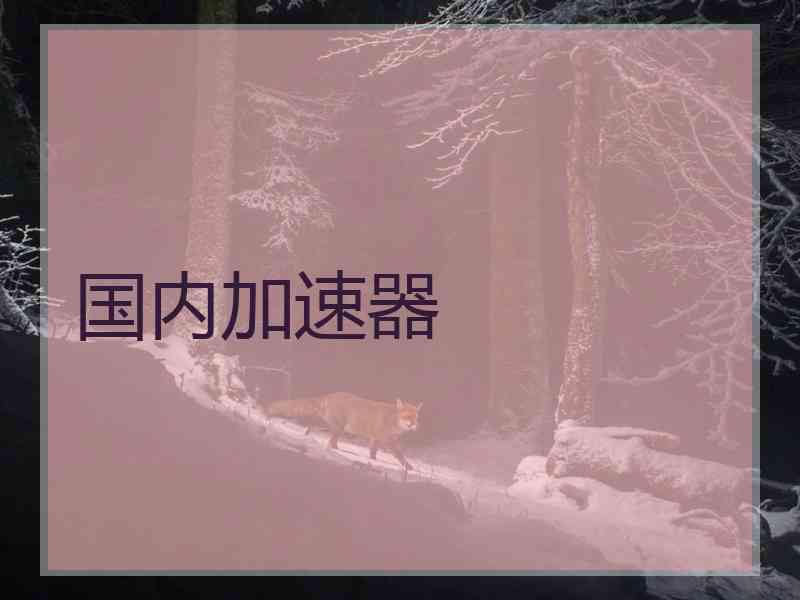 国内加速器