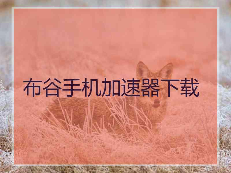 布谷手机加速器下载