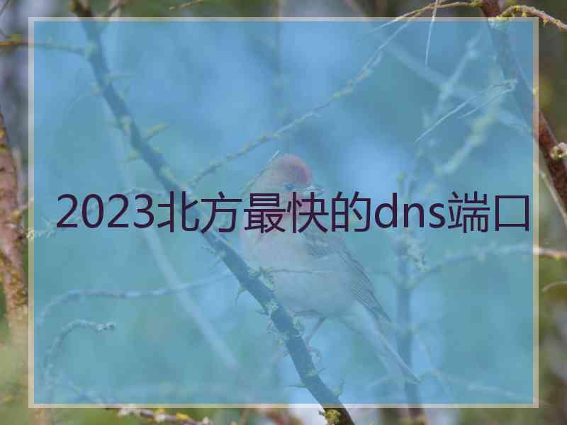 2023北方最快的dns端口