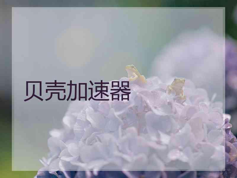 贝壳加速器