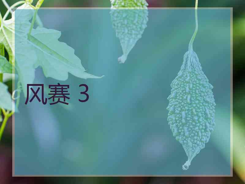 风赛 3