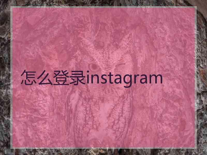 怎么登录instagram