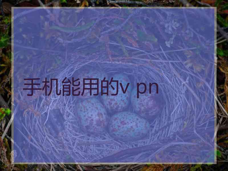 手机能用的v pn