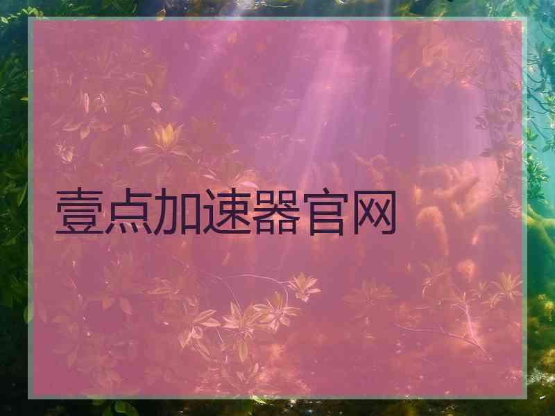 壹点加速器官网