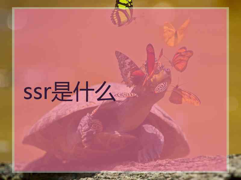 ssr是什么