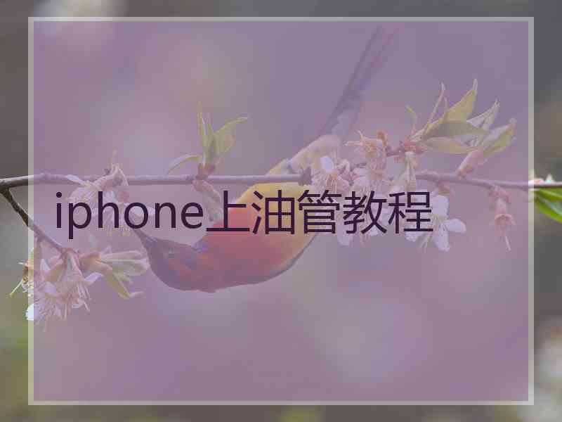 iphone上油管教程