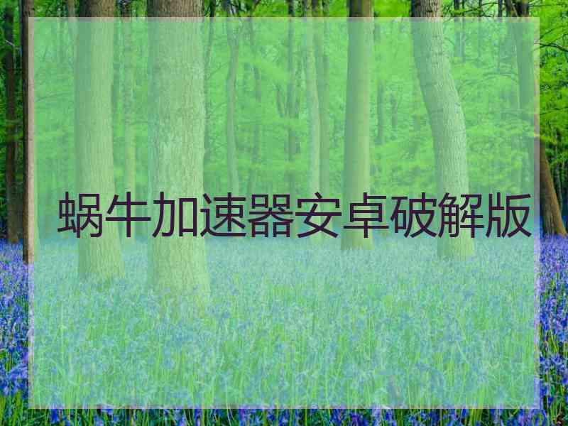 蜗牛加速器安卓破解版