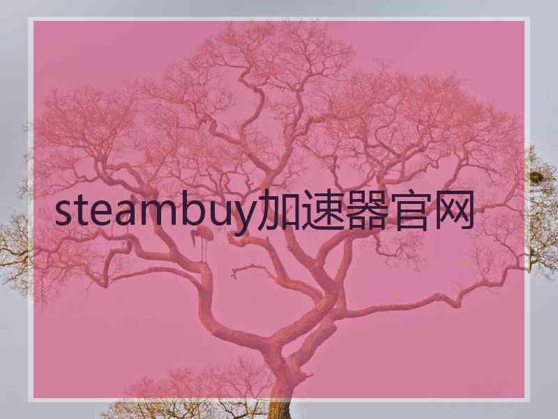 steambuy加速器官网