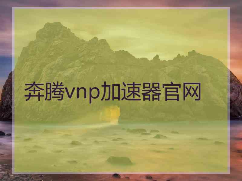 奔腾vnp加速器官网