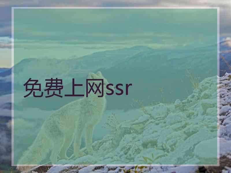 免费上网ssr