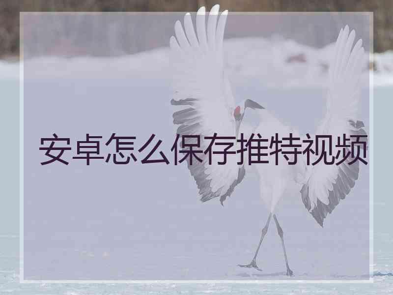 安卓怎么保存推特视频