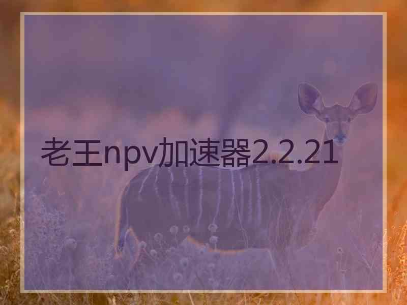 老王npv加速器2.2.21