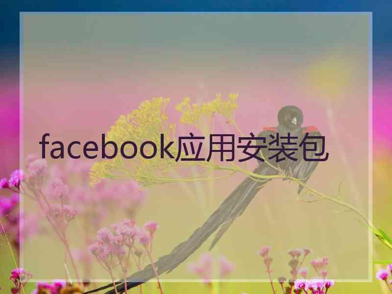 facebook应用安装包