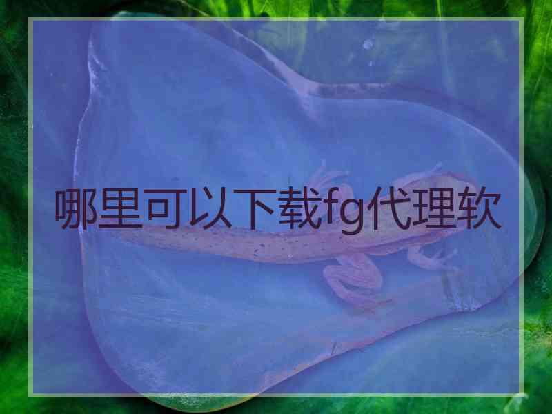 哪里可以下载fg代理软